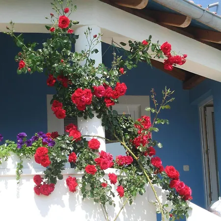 Luton Zadar Heating Pool & Jacuzzi Apartment