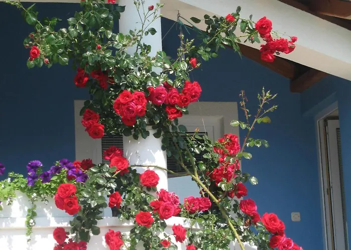 Luton Zadar Heating Pool & Jacuzzi Апартаменты